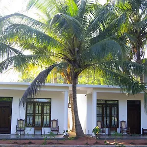 Shady Mango Frühstückspension Sigiriya